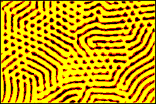 To see the large image click here