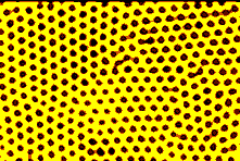 To see the large image click here