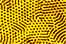 To see the large image click here