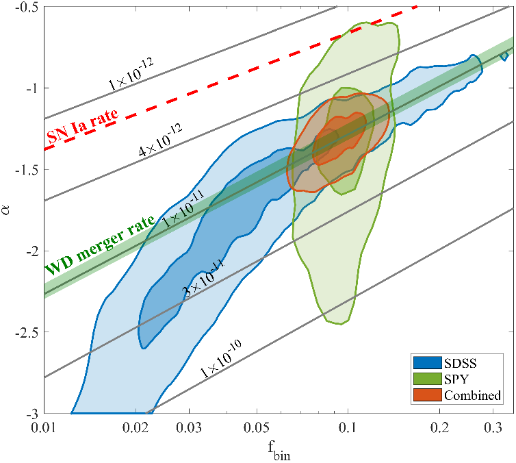 The binary fraction, separation distribution, and merger rate of white dwarfs